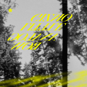 三级三黄三级三黄三级三黄公司
