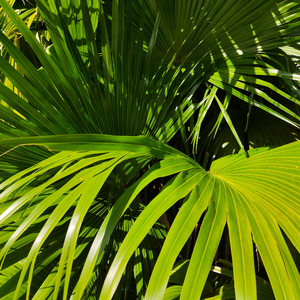 三级三黄三级三黄三级三黄公司
